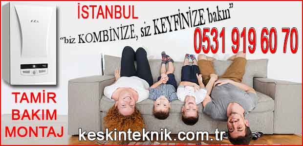 Kombi petek temizliği